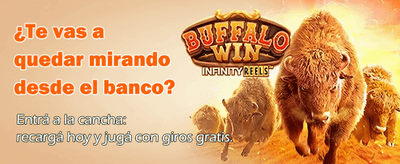 bplay casino agent program